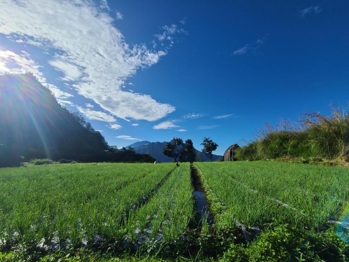 Batur Lake View Kintamani Εξωτερικό φωτογραφία